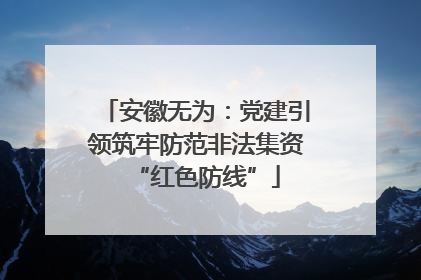 安徽无为：党建引领筑牢防范非法集资“红色防线”