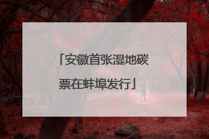 安徽首张湿地碳票在蚌埠发行
