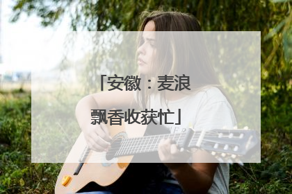 安徽：麦浪飘香收获忙