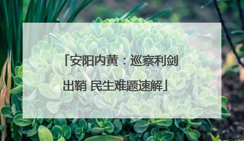 安阳内黄：巡察利剑出鞘 民生难题速解
