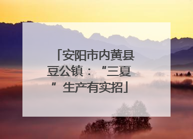 安阳市内黄县豆公镇：“三夏”生产有实招