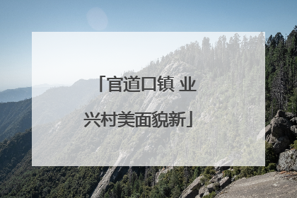 官道口镇 业兴村美面貌新
