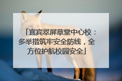 宜宾翠屏草堂中心校：多举措筑牢安全防线，全方位护航校园安全