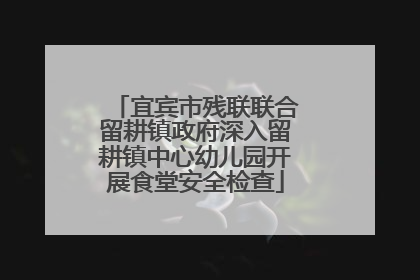 宜宾市残联联合留耕镇政府深入留耕镇中心幼儿园开展食堂安全检查