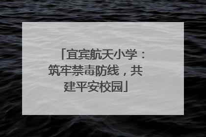 宜宾航天小学：筑牢禁毒防线，共建平安校园