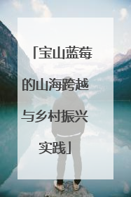 宝山蓝莓的山海跨越与乡村振兴实践