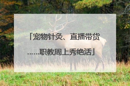 宠物针灸、直播带货……职教周上秀绝活
