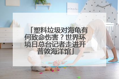 塑料垃圾对海龟有何致命伤害？世界环境日总台记者走进开普敦海洋馆