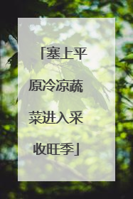 塞上平原冷凉蔬菜进入采收旺季