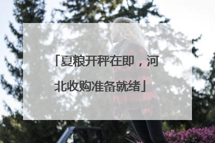 夏粮开秤在即，河北收购准备就绪