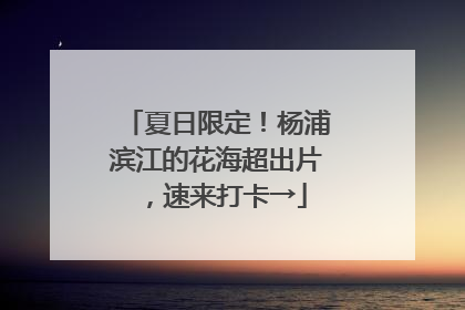 夏日限定！杨浦滨江的花海超出片，速来打卡→