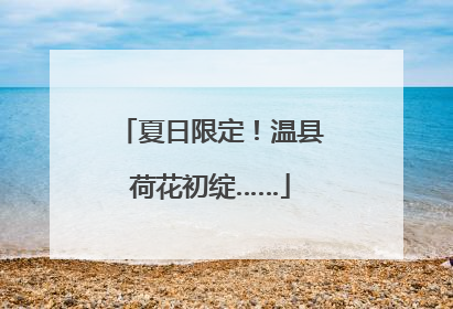 夏日限定!温县荷花初绽……