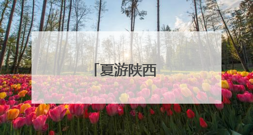夏游陕西 美景无限
