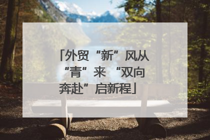 外贸“新”风从“青”来 “双向奔赴”启新程