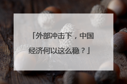 外部冲击下，中国经济何以这么稳？