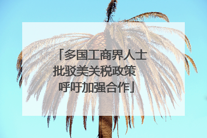 多国工商界人士批驳美关税政策 呼吁加强合作