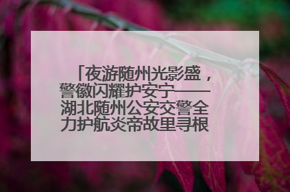 夜游随州光影盛，警徽闪耀护安宁——湖北随州公安交警全力护航炎帝故里寻根节夜游活动侧记