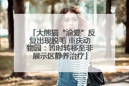 大熊猫“渝爱”反复出现脱毛 重庆动物园：暂时转移至非展示区静养治疗