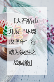 大石桥市开展“环境攻坚年”行动为决胜之战赋能