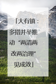 大有镇：多措并举推动“两清两改两治理”见成效