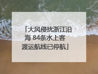 大风侵扰浙江沿海 84条水上客渡运航线已停航