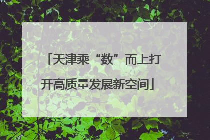 天津乘“数”而上打开高质量发展新空间