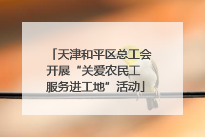 天津和平区总工会开展“关爱农民工 服务进工地”活动