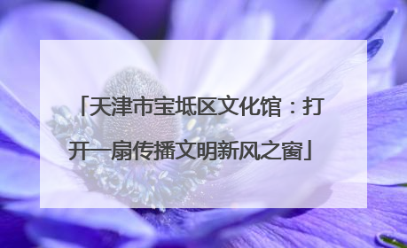 天津市宝坻区文化馆：打开一扇传播文明新风之窗
