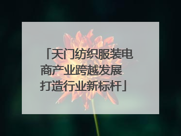 天门纺织服装电商产业跨越发展 打造行业新标杆