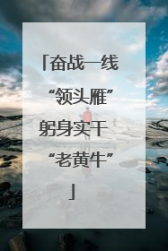 奋战一线“领头雁” 躬身实干“老黄牛”