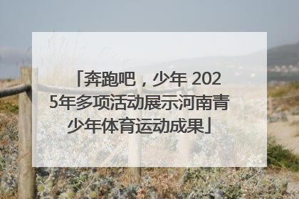 奔跑吧，少年 2025年多项活动展示河南青少年体育运动成果