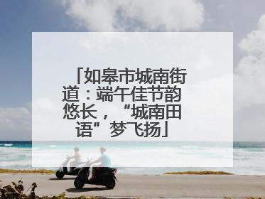 如皋市城南街道：端午佳节韵悠长，“城南田语”梦飞扬