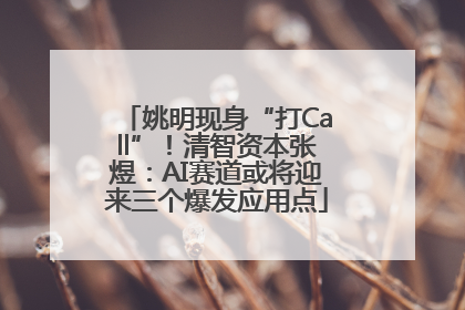 姚明现身“打Call”！清智资本张煜：AI赛道或将迎来三个爆发应用点