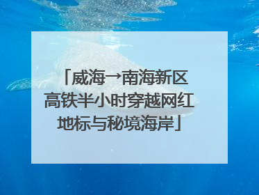 威海→南海新区 高铁半小时穿越网红地标与秘境海岸