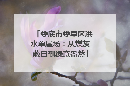 娄底市娄星区洪水单屋场：从煤灰蔽日到绿意盎然
