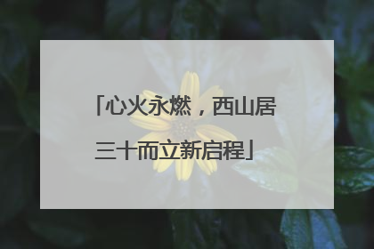 心火永燃，西山居三十而立新启程