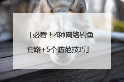 必看！4种网络钓鱼套路+5个防范技巧