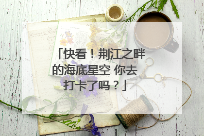 快看！荆江之畔的海底星空 你去打卡了吗？