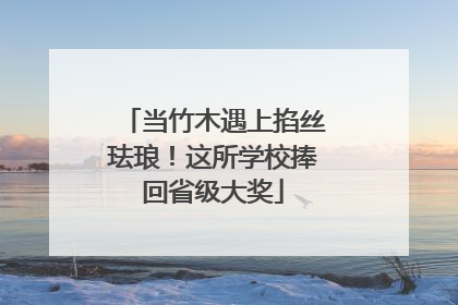 当竹木遇上掐丝珐琅！这所学校捧回省级大奖