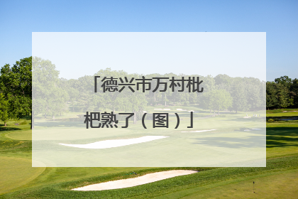 德兴市万村枇杷熟了（图）