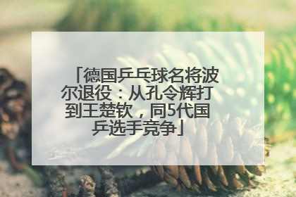 德国乒乓球名将波尔退役：从孔令辉打到王楚钦，同5代国乒选手竞争
