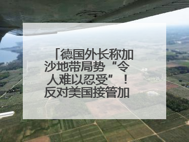 德国外长称加沙地带局势“令人难以忍受”！反对美国接管加沙地带的想法