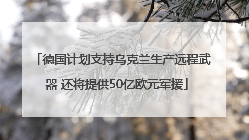 德国计划支持乌克兰生产远程武器 还将提供50亿欧元军援