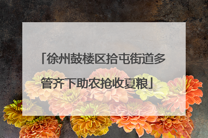 徐州鼓楼区拾屯街道多管齐下助农抢收夏粮