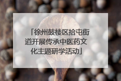 徐州鼓楼区拾屯街道开展传承中医药文化主题研学活动