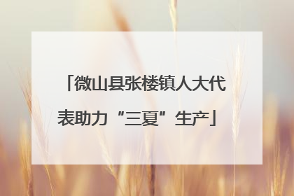微山县张楼镇人大代表助力“三夏”生产
