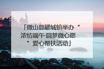 微山县驩城镇举办“浓情端午·圆梦微心愿”爱心帮扶活动