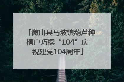 微山县马坡镇葫芦种植户巧摆“104”庆祝建党104周年