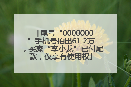 尾号“0000000”手机号拍出61.2万，买家“李小龙”已付尾款，仅享有使用权