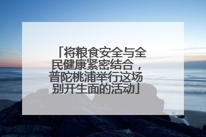 将粮食安全与全民健康紧密结合，普陀桃浦举行这场别开生面的活动